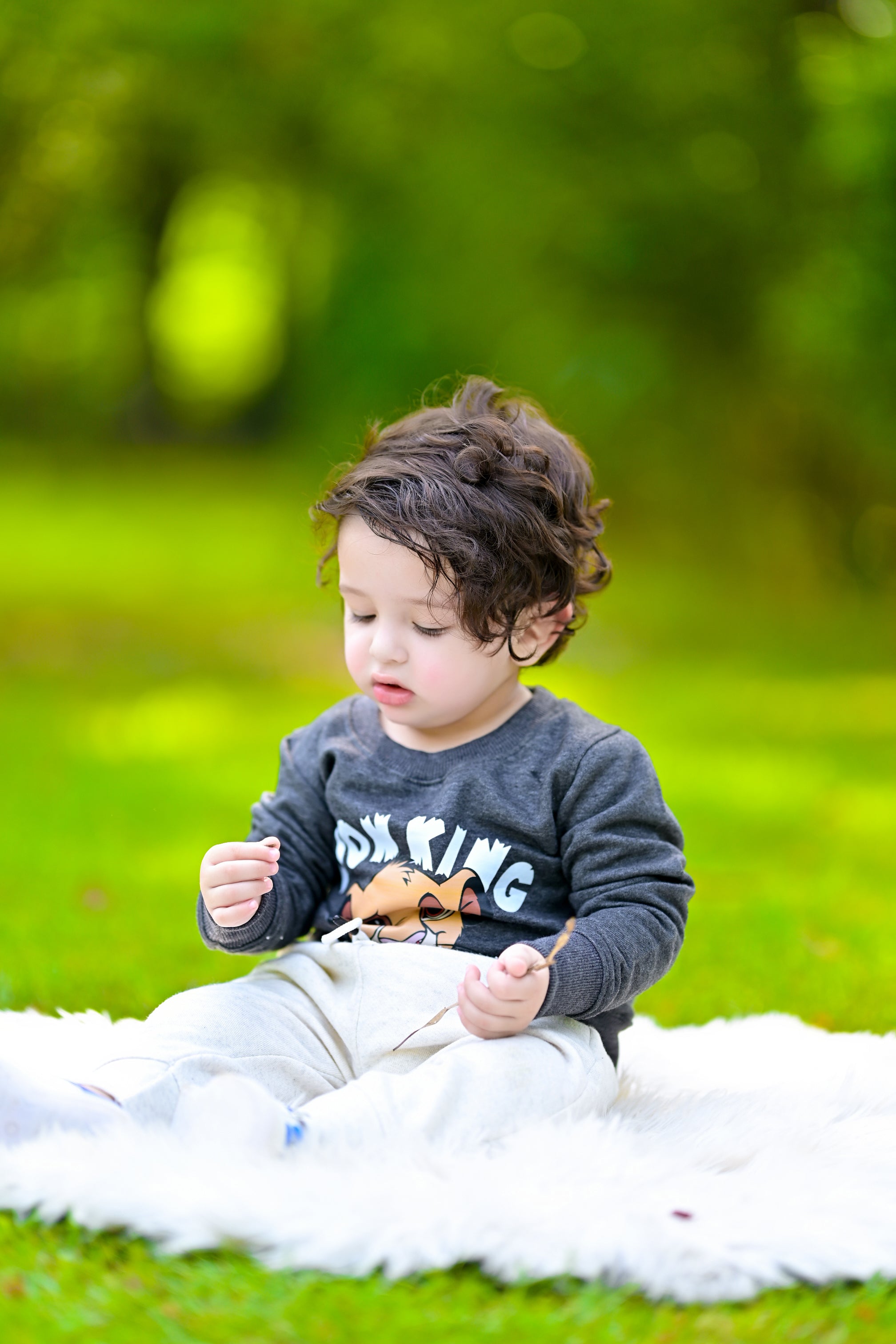 Figo - Lion King Sweat Shirt (Charcoal Grey)